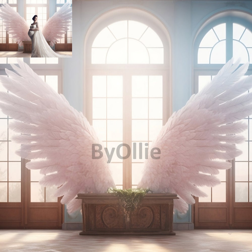 Digital Backdrops Maternity Studio Maternity Angel Wings Chic Backgrounds Textures Photoshoot Fine Art Overlays Photoshop