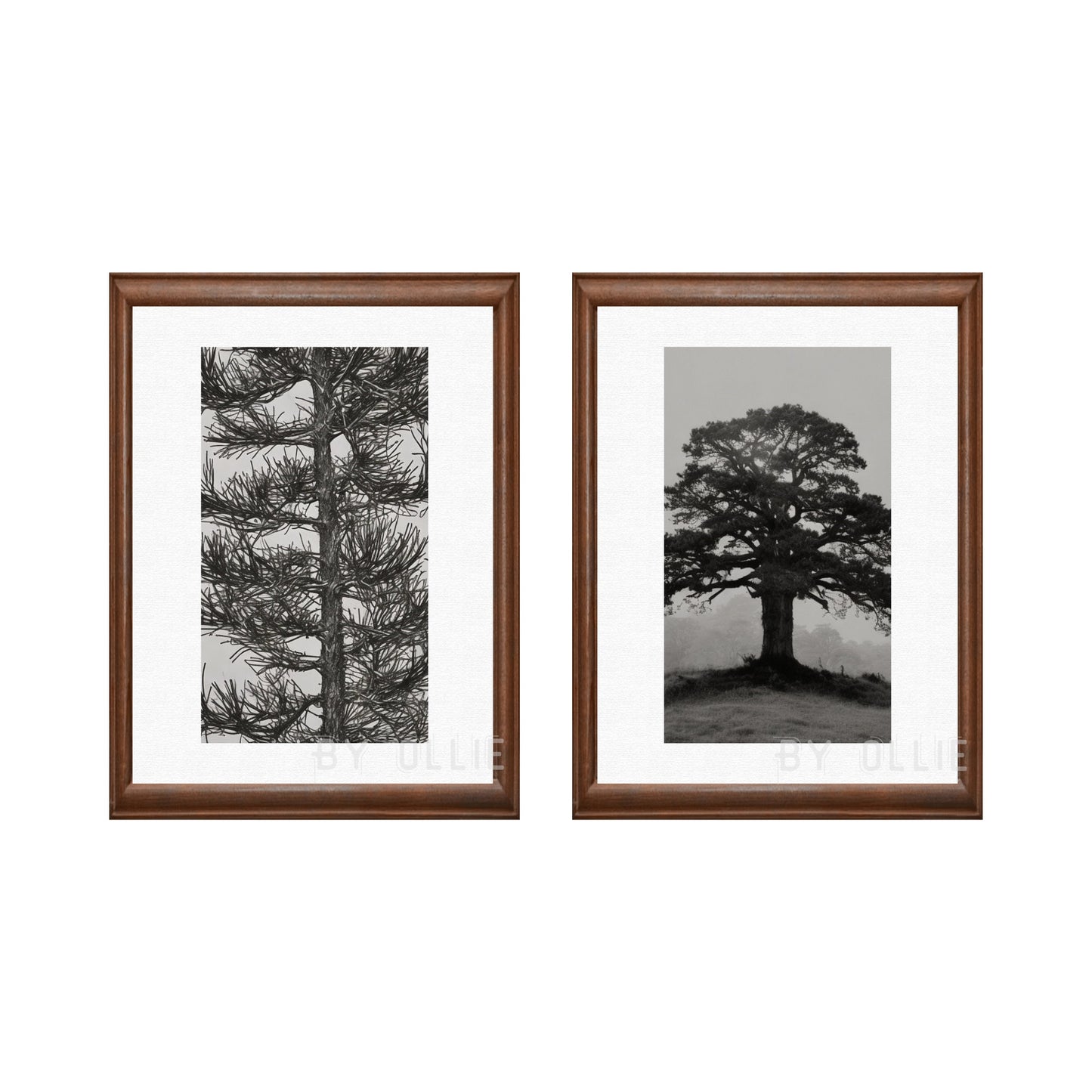 Vintage Gallery Wall Print Set of 4 | Tree Sketches Etching Print | Digital PRINTABLE | Digital Sketch Wall Art